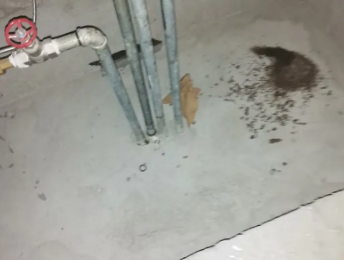 班戈卫生间测漏水价格明细